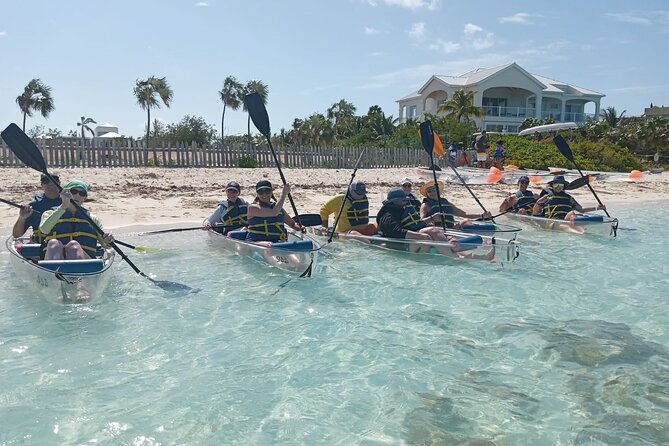 Clear Bottom Kayaks Mangrove Tour - Clear-bottom kayak views in Providenciales, TKCA 1ZZ