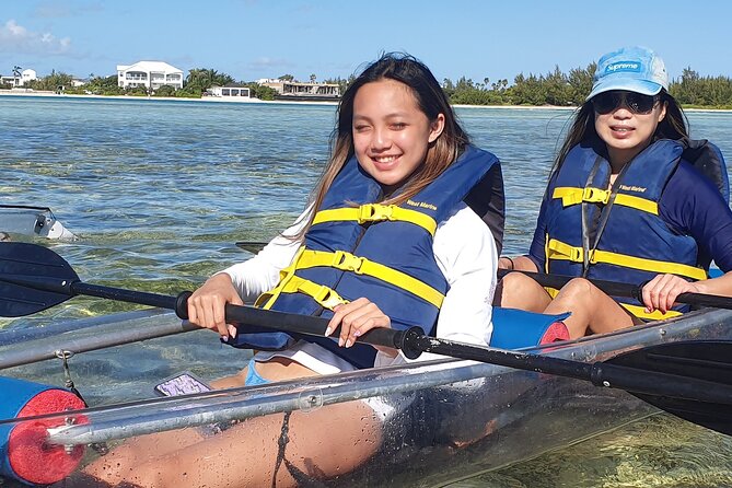 Clear Bottom Kayaks Mangrove Tour - Life in the mangroves: turtles, baby lemon sharks, stingrays, and fish