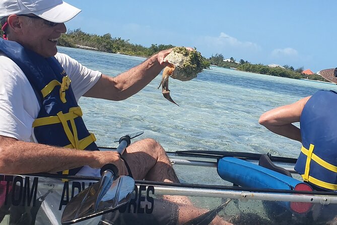 Clear Bottom Kayaks Mangrove Tour - Equipment that helps: vests, dry bags, and clear bottoms