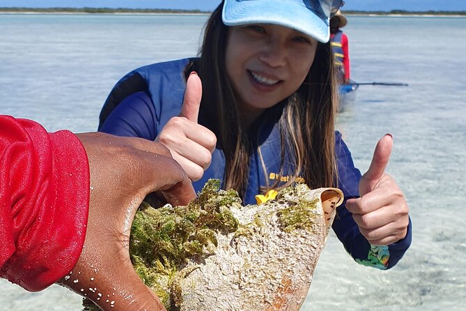 Clear Bottom Kayaks Mangrove Tour - Who this tour suits best, and who should think twice