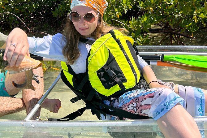 Clear Kayak Eco Tour Explore Mangroves and Meet the Turtles - What You’ll Do on the Clear Wave Mangrove Kayak Tour
