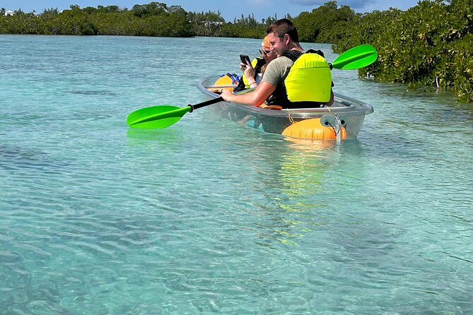 Clear Kayak Eco Tour Explore Mangroves and Meet the Turtles - Wildlife Spotting: What a Good Guide Changes