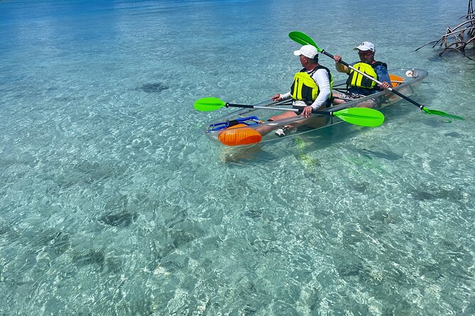 Clear Kayak Eco Tour Explore Mangroves and Meet the Turtles - Price and Value: Is $112 a Good Deal for 2 Hours?