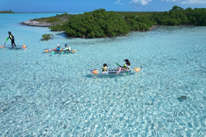 Clear Kayak Eco Tour Explore Mangroves and Meet the Turtles - Getting There: Start Point and What the Beginning Feels Like