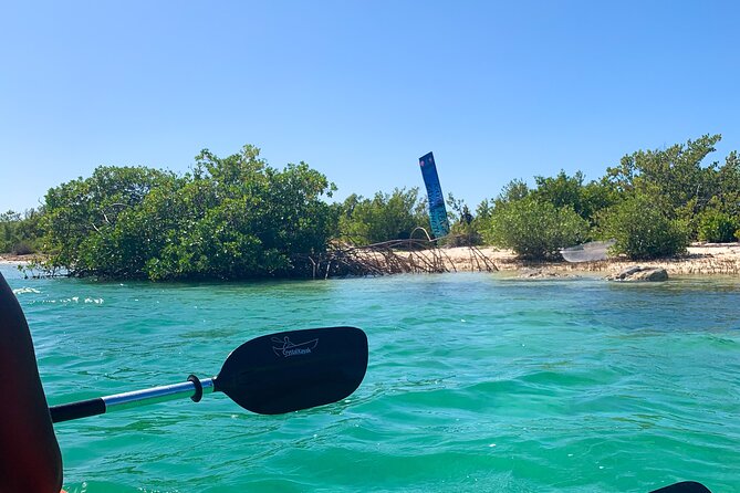 Clear kayak Grand Turk Island Kayak Tour of the mangroves - Time on the Water: Pace, Guides, and a 1 to 2 Hour Reality Check