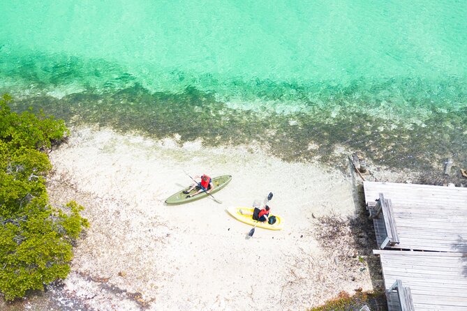 Clear kayak Grand Turk Island Kayak Tour of the mangroves - Price and Value: $100 Per Person, What You’re Actually Buying