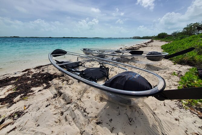 Clear Kayak Mangrove Eco Tour - Key things that make this mangrove kayak tour worth your time