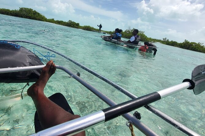 Clear Kayak Mangrove Eco Tour - Clear Kayaking Through Turks and Caicos Mangrove Water