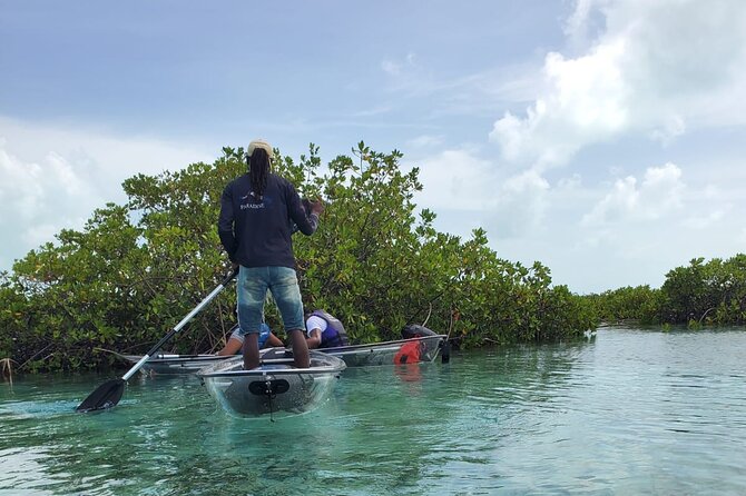 Clear Kayak Mangrove Eco Tour - Getting on the water: pickup, timing, and group size