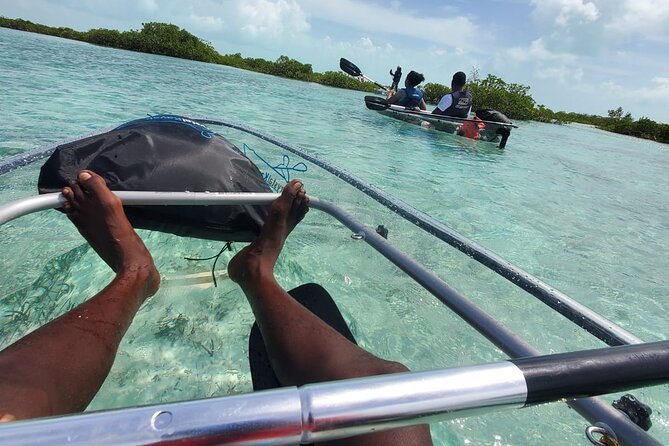 Clear Kayak Mangrove Eco Tour - Little Water Cay and rock iguanas: the best bet for land spotting