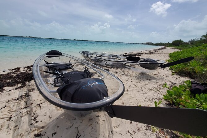 Clear Kayak Mangrove Eco Tour - How to think about the mangrove ecosystem experience