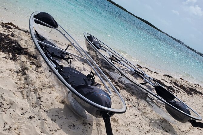 Clear Kayak Mangrove Eco Tour - What to bring for a smooth clear kayak paddle