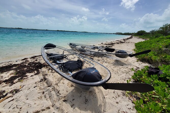 Clear Kayak Mangrove Eco Tour - Price and what you’re really paying for at $240 per group