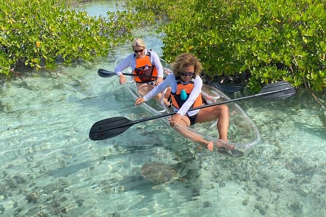 Clear Kayak Tour in Turks & Caicos Islands - Key highlights you should care about