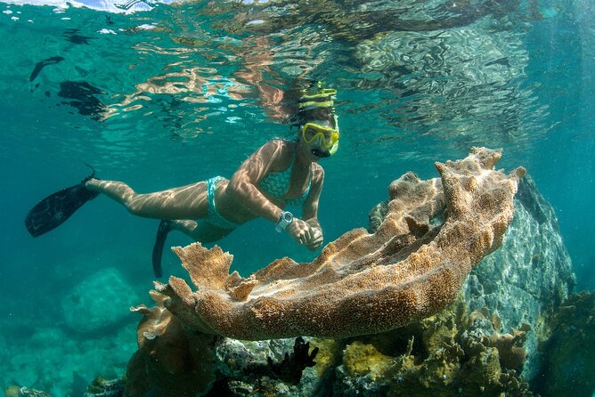 Deluxe Half-Day Snorkel Sail on Lady Grace Luxury Catamaran - Who this tour suits best in Turks and Caicos