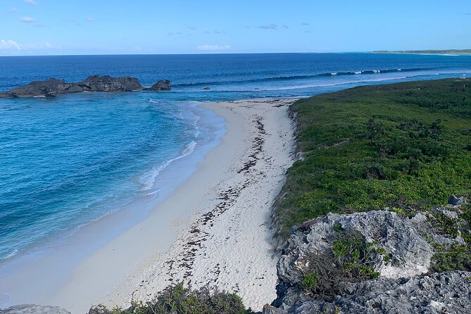 Discovery Tour and Treasure Hunt ( North and Middle Caicos) - Stop 1: Flamingo Pond Overlook Quick Photo Stop