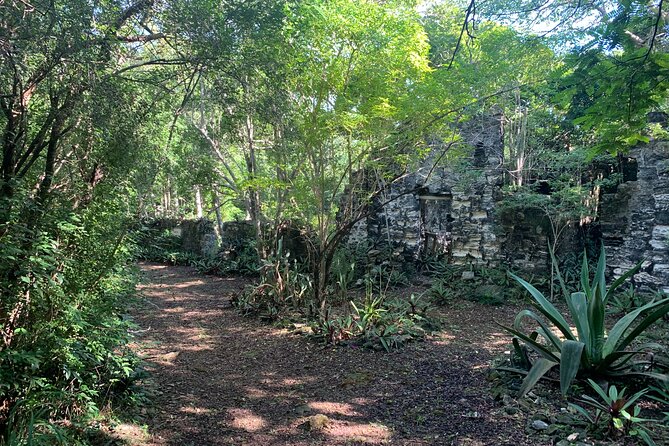 Discovery Tour and Treasure Hunt ( North and Middle Caicos) - Stop 5: Back to Mudjin Harbor for Aquatic Life (Weather Permitting)