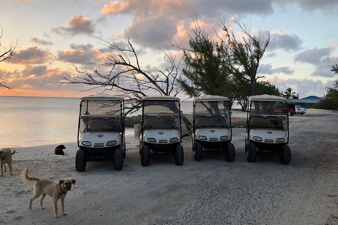 Drive GDT - Golf Cart Rentals - When carts aren’t perfect: what to consider before you book