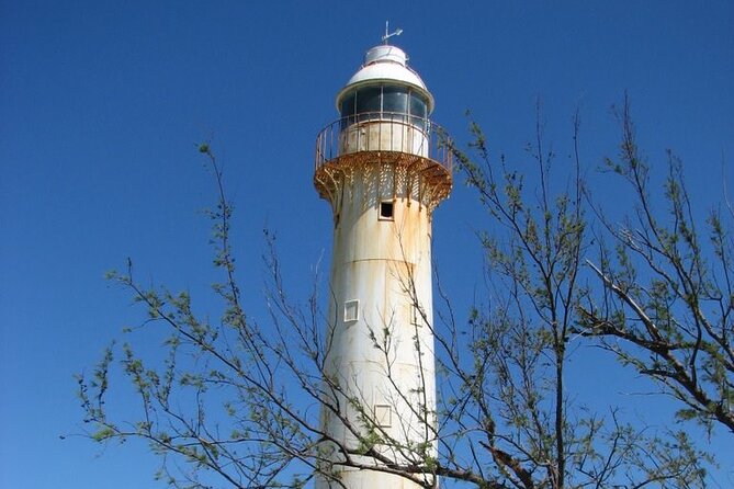 Exclusive Grand Turk Island Tour - Local resident guides, and why names like Trevor and Conch stick