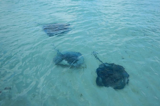Exclusive Supreme Snorkeling Tour - Boat time: small-group comfort with real ocean spray