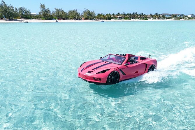Explore Shipwreck and Hidden Island Beaches in 1-Hour Jetcar Tour - Meeting at Long Bay Hills, and why the location details matter