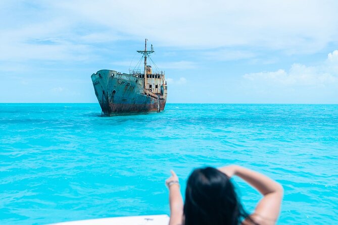 Full day 7hours- beach bbq, snorkel, Iguana island, half moon bay pine cay, Fun! - Dolphins in inter-coastal waters: how to treat it as a bonus