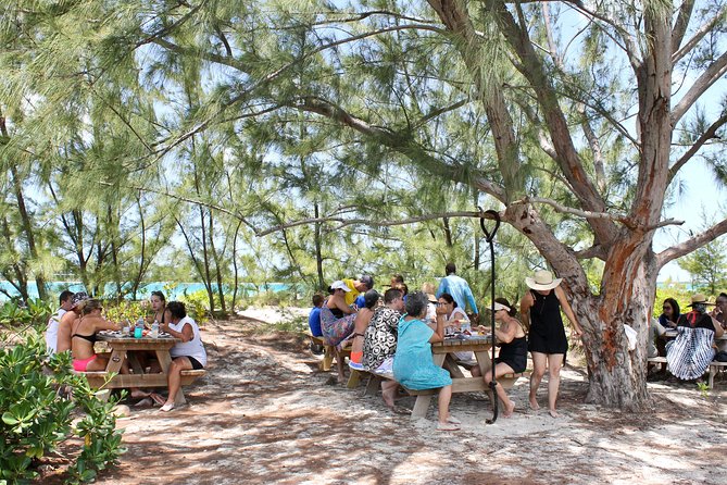 Full Day Beach BBQ Lunch & Snorkeling Excursion in Grace Bay - Key highlights