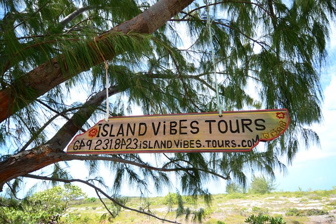 Full Day Beach BBQ Lunch & Snorkeling Excursion in Grace Bay - A full-day catamaran that feels like you’re already on island time