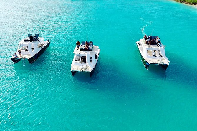 Full Day Beach BBQ Lunch & Snorkeling Excursion in Grace Bay - Little Water Cay (Iguana Island) and why it’s not just another beach stop