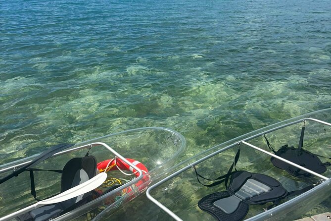 Full Day Clear Kayak Rental Grand Turk - Wildlife And The Eco-Friendly Promise: What You Can Actually Aim For