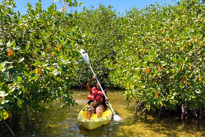 Full Day Clear Kayak Rental Grand Turk - Choosing Your Kayak: Single, Tandem, And Youth Options