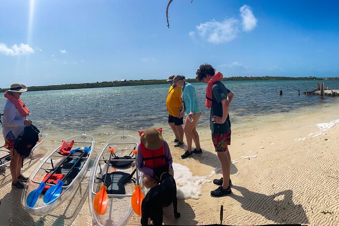 Full Day Clear Kayak Rental Grand Turk - Mangroves And The Creek Channel: How The Route Can Improve Your Day
