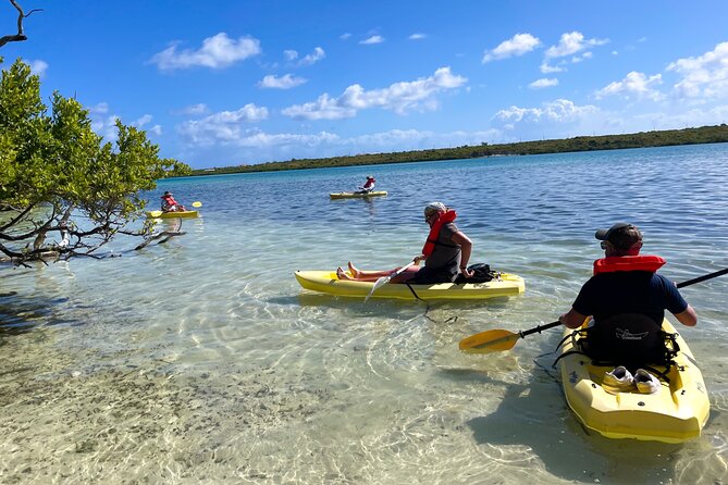 Full Day Clear Kayak Rental Grand Turk - How Long You’ll Actually Be Kayaking: 1 To 4 Hours Worth Planning Around