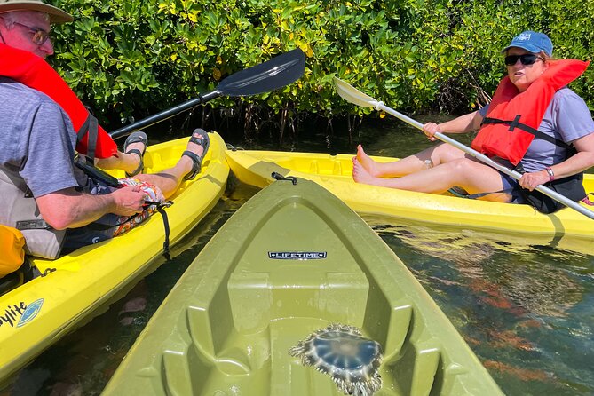 Full Day Clear Kayak Rental Grand Turk - Price And Value: When $58 Makes Sense