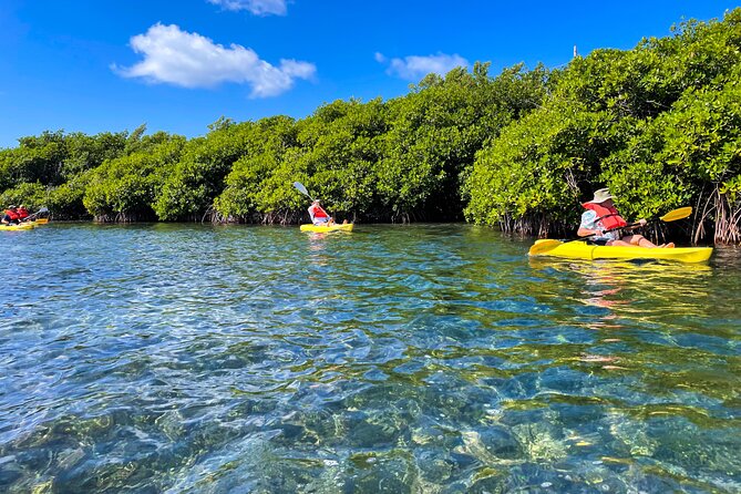 Full Day Clear Kayak Rental Grand Turk - Clear Kayak Views In A Secluded Creek: The Part That Feels Different
