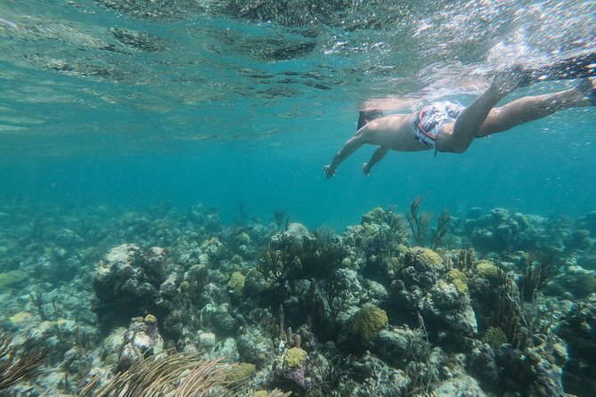 Full Day Cruise from Providenciales with Snorkeling and BBQ Lunch - Who This Cruise Is Best For, and Who Should Rethink It