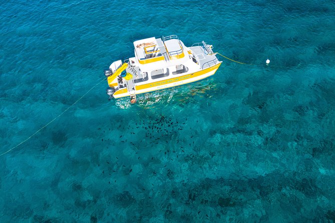 Full Day Private Boat Charter at Grace Bay, Providenciales - Crew guidance and how customization works in real life