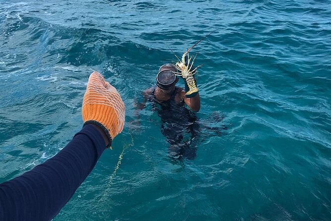 Full-Day Private Cruise in Turks and Caicos with Lunch - Lunch included, plus the reality of a full day on a boat