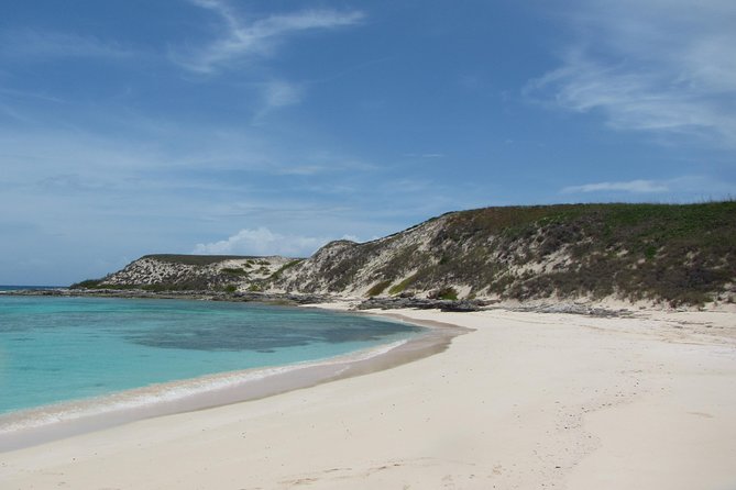 Gibbs Cay Stingray and Conch Dive Adventure - Key things to know before you go