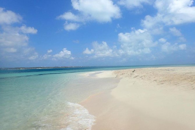 Gibbs Cay Stingray and Conch Dive Adventure - Should you book the Gibbs Cay stingray and conch experience?
