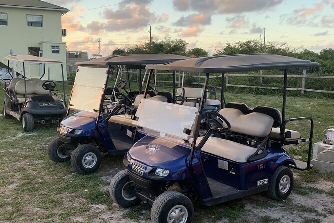 Golf Cart Adventure MaxKart Auto Rentals - Finding the Carts at the Cruise Port: Fast if You Know the Move