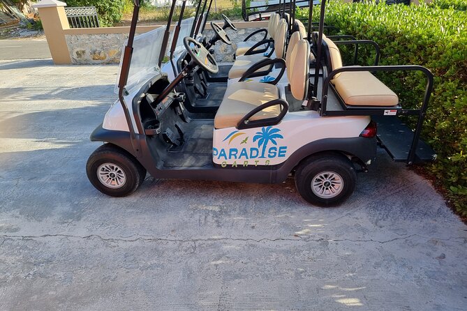 Golf Cart Rental in Grand Turk (4-seater) - Key things worth knowing before you go
