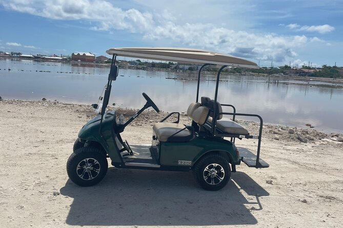 Grand Turk Golf Cart Rentals (CACTUS CARTS) - Finding Cactus Carts Outside the Port Gate (And Why It Matters)