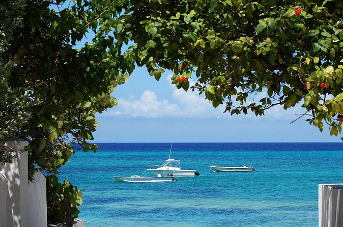 Grand Turk Historical Sightseeing Tour by Tram - The Big Picture Route: South End to the Northern Tip and Back