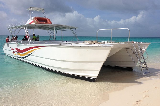 Grand Turk: Whale Watching - How whale watching is handled here: distance, behavior, and patience