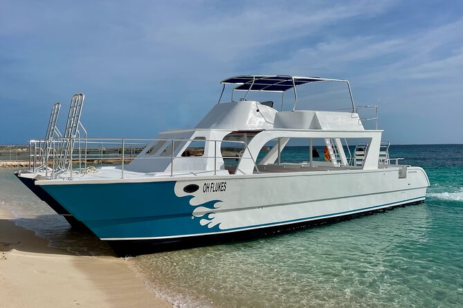 Grand Turk: Whale Watching - Learning on board: marine biologist, whale biology, and what to listen for