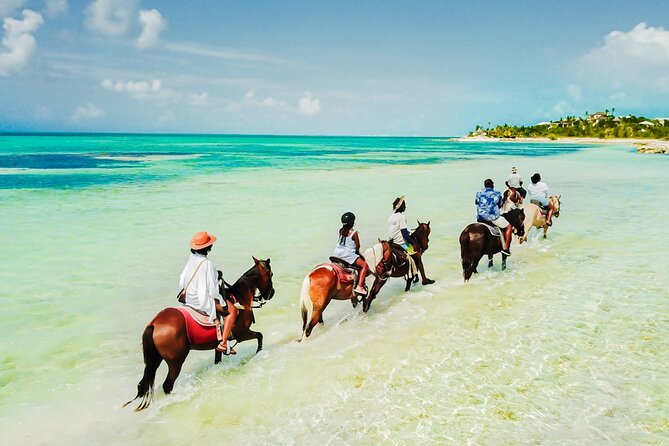 Group Beach and Ocean Horseback Adventure in Providenciales - Key Highlights You’ll Actually Care About