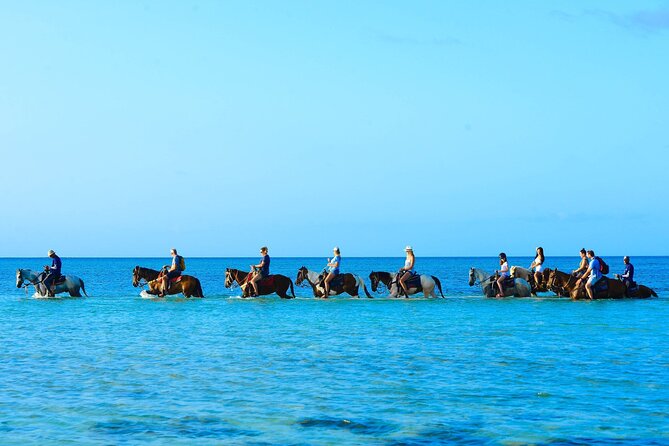 Group Beach and Ocean Horseback Adventure in Providenciales - Meeting Your Guides and Getting Set for the Ride