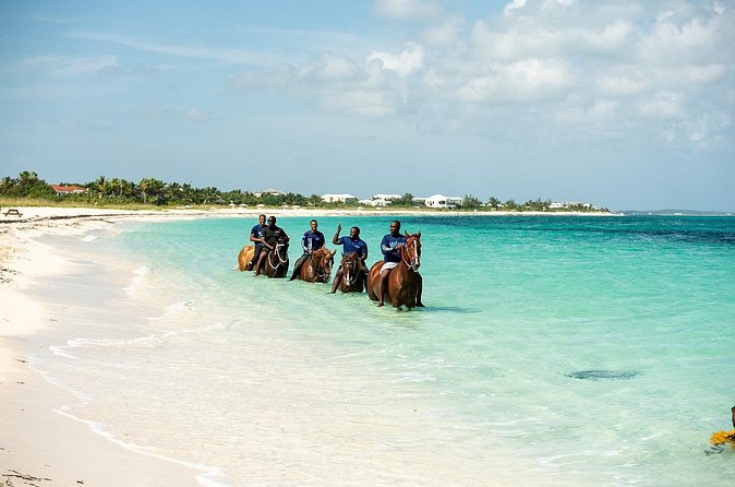 Group Beach and Ocean Horseback Adventure in Providenciales - Riding the Shore: The Part You’ll Remember in Photos
