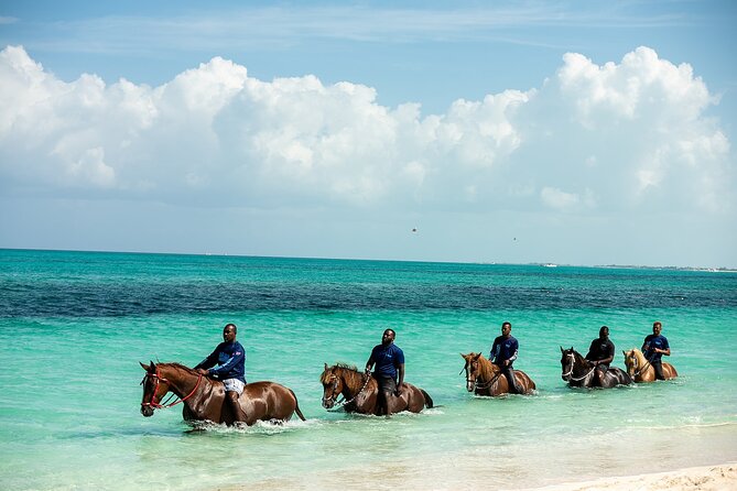 Group Beach and Ocean Horseback Adventure in Providenciales - Into the Water: What It Feels Like to Wade with a Horse